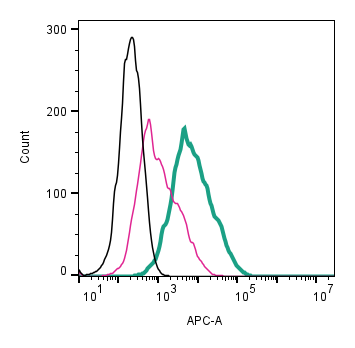 Anti-β1-Adrenergic Receptor (extracellular)-APC Antibody
