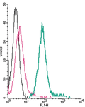Anti-β1-Adrenergic Receptor (extracellular)-FITC Antibody