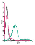 Anti-Adenosine A3 Receptor (extracellular)-FITC Antibody
