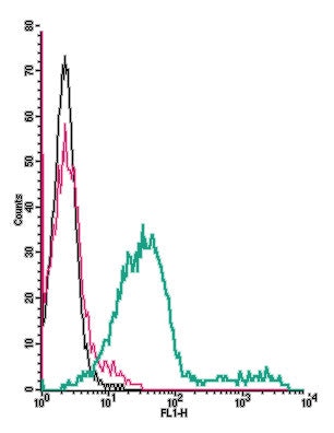 Anti-Adenosine A3 Receptor (extracellular)-FITC Antibody