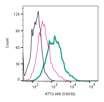 Anti-Adenylate Cyclase 3 (AC3) (extracellular)-ATTO Fluor-488 Antibody