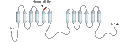 Anti-Adenylate Cyclase 3 (AC3) (extracellular) Antibody