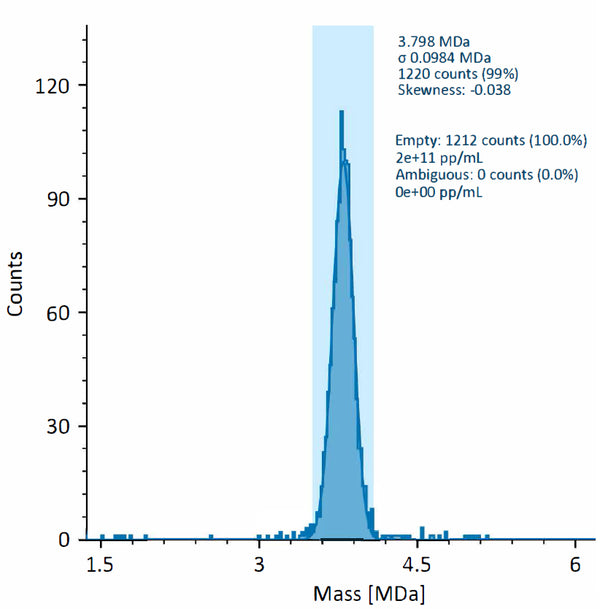 Mass photometry validation of AAV Empty Capsid Serotype 5 (AAV5, SignaGen SL116197) confirming empty-capsid content