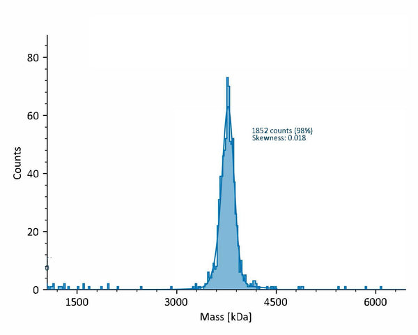 Mass photometry validation of AAV Empty Capsid Serotype 6 (AAV6, SignaGen SL116198) confirming empty-capsid content