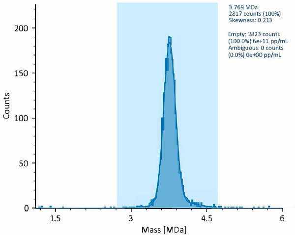 Mass photometry validation of AAV Empty Capsid Serotype 8 (AAV8, SignaGen SL116199) confirming empty-capsid content