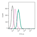 Anti-B1 Bradykinin Receptor (BDKRB1) (extracellular)-FITC Antibody