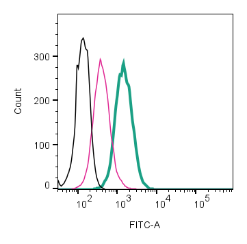 Anti-B1 Bradykinin Receptor (BDKRB1) (extracellular)-FITC Antibody