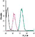 Anti-BAI1 (extracellular)-FITC Antibody