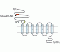 BAI2 (extracellular) Blocking Peptide
