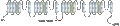 Anti-CaV1.2 (CACNA1C) Antibody