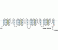Pan CaV α 1 Blocking Peptide