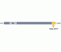 CACNB3 Blocking Peptide