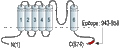 Anti-TRPC4 Antibody