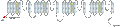 Anti-Human CaV1.2 (CACNA1C) Antibody