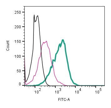 Anti-TRPV1 (VR1) (extracellular)-ATTO Fluor-488 Antibody