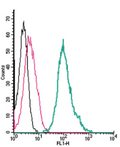 Anti-TRPA1 (extracellular)-FITC Antibody