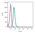 Anti-TRPV2 (VRL1) (extracellular)-FITC Antibody