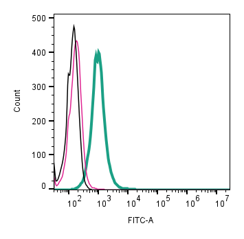 Anti-TRPV2 (VRL1) (extracellular)-FITC Antibody
