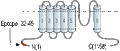 Anti-TRPM5 Antibody