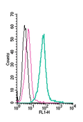 Anti-TRPM6 (extracellular)-FITC Antibody