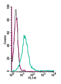 Anti-TRPC6 (extracellular)-FITC Antibody