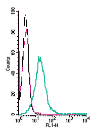 Anti-TRPC6 (extracellular)-FITC Antibody