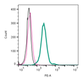 Anti-TRPV4 (extracellular) Antibody- PE Antibody