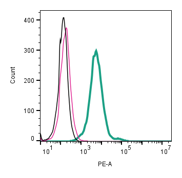 Anti-TRPV4 (extracellular) Antibody- PE Antibody