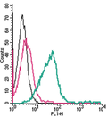 Anti-TRPM2 (extracellular)-FITC Antibody