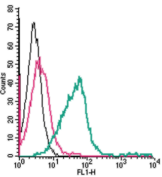 Anti-TRPM2 (extracellular)-FITC Antibody