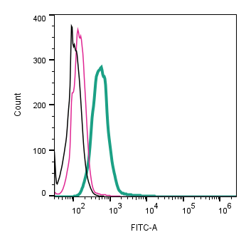 Anti-TRPM7 (extracellular)-FITC Antibody