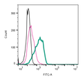 Anti-Human TRPV2 (VRL1) (extracellular)-FITC Antibody