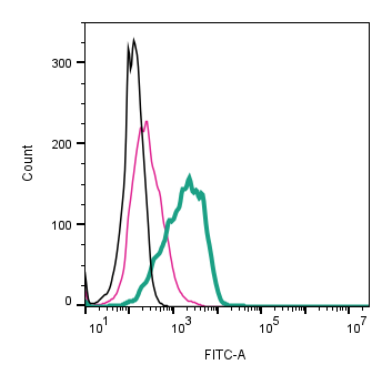 Anti-Human TRPV2 (VRL1) (extracellular)-FITC Antibody