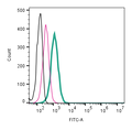 Anti-CALHM2 (extracellular)-FITC Antibody