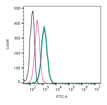 Anti-CALHM2 (extracellular)-FITC Antibody