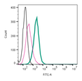 Anti-CaV1.3 (CACNA1D) (extracellular)-FITC Antibody