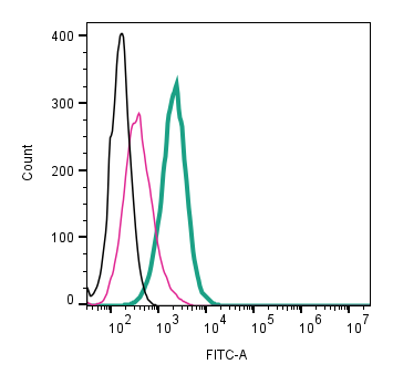 Anti-CaV1.3 (CACNA1D) (extracellular)-FITC Antibody