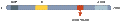 Anti-CHERP Antibody