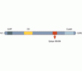 CHERP Blocking Peptide