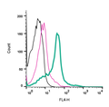 Anti-Human TRPV1 (extracellular)-APC Antibody