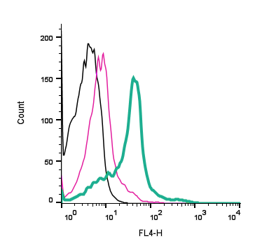 Anti-Human TRPV1 (extracellular)-APC Antibody