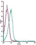 Anti-Human TRPV1 (extracellular)-FITC Antibody