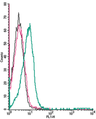 Anti-Human TRPV1 (extracellular)-FITC Antibody