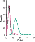 Anti-Anoctamin-6 (extracellular)-FITC Antibody