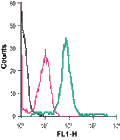 Anti-Cannabinoid Receptor 1 (extracellular)-FITC Antibody