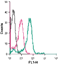 Anti-Calcium Sensing Receptor (extracellular)-FITC Antibody