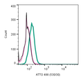 Anti-Human CXCR2 (extracellular)-ATTO Fluor-488 Antibody