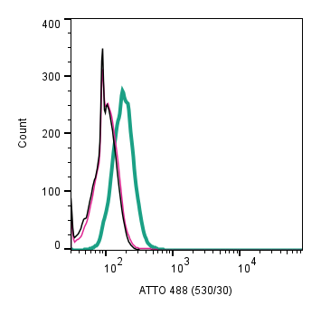 Anti-Human CXCR2 (extracellular)-ATTO Fluor-488 Antibody