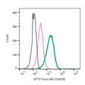 Anti-CXCR4 (extracellular)-ATTO Fluor-488 Antibody