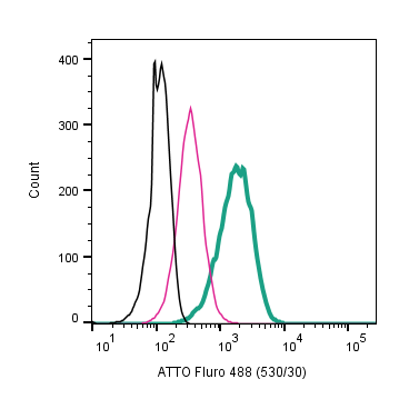 Anti-CXCR4 (extracellular)-ATTO Fluor-488 Antibody